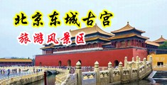 免费观看黄色特级录像中国北京-东城古宫旅游风景区