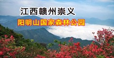 免费观看操骚逼视频